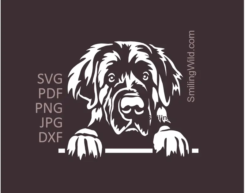 A peeking leonberger svg, png and dxf vecor files for laser engraving and mechanical cutting and all other crafting needs.