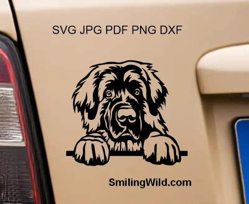 Dog clipart decal used as a preview image to present a peeking leonberger svg and png clipart design to be appropriate to use on cricut and laser macines weather for cutting or engrving