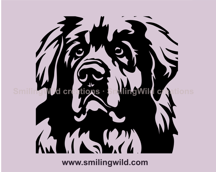 leonberger vector graphic style made face design with majestic look in his eyes