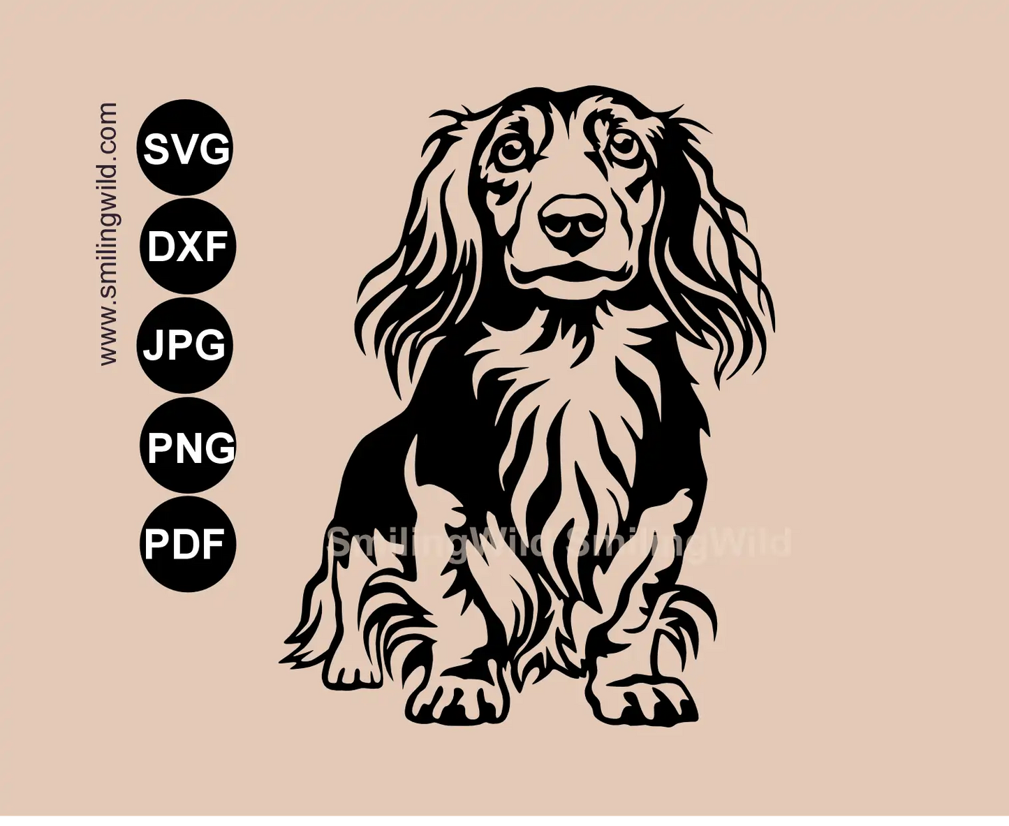Detailed long haired Dachshund SVG, png and dxf clipart presenting a full body standing wiener dog frontal vector art