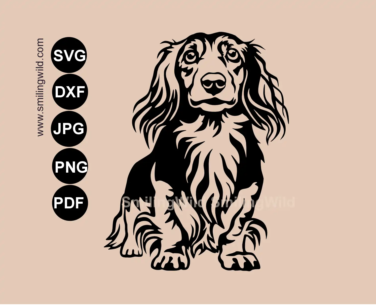 Detailed long haired Dachshund SVG, png and dxf clipart presenting a full body standing wiener dog frontal vector art