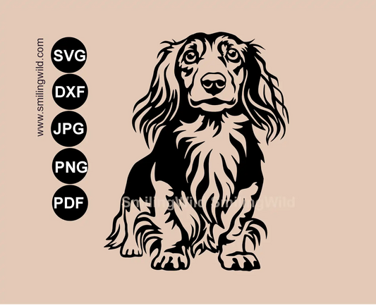 Detailed long haired Dachshund SVG, png and dxf clipart presenting a full body standing wiener dog frontal vector art