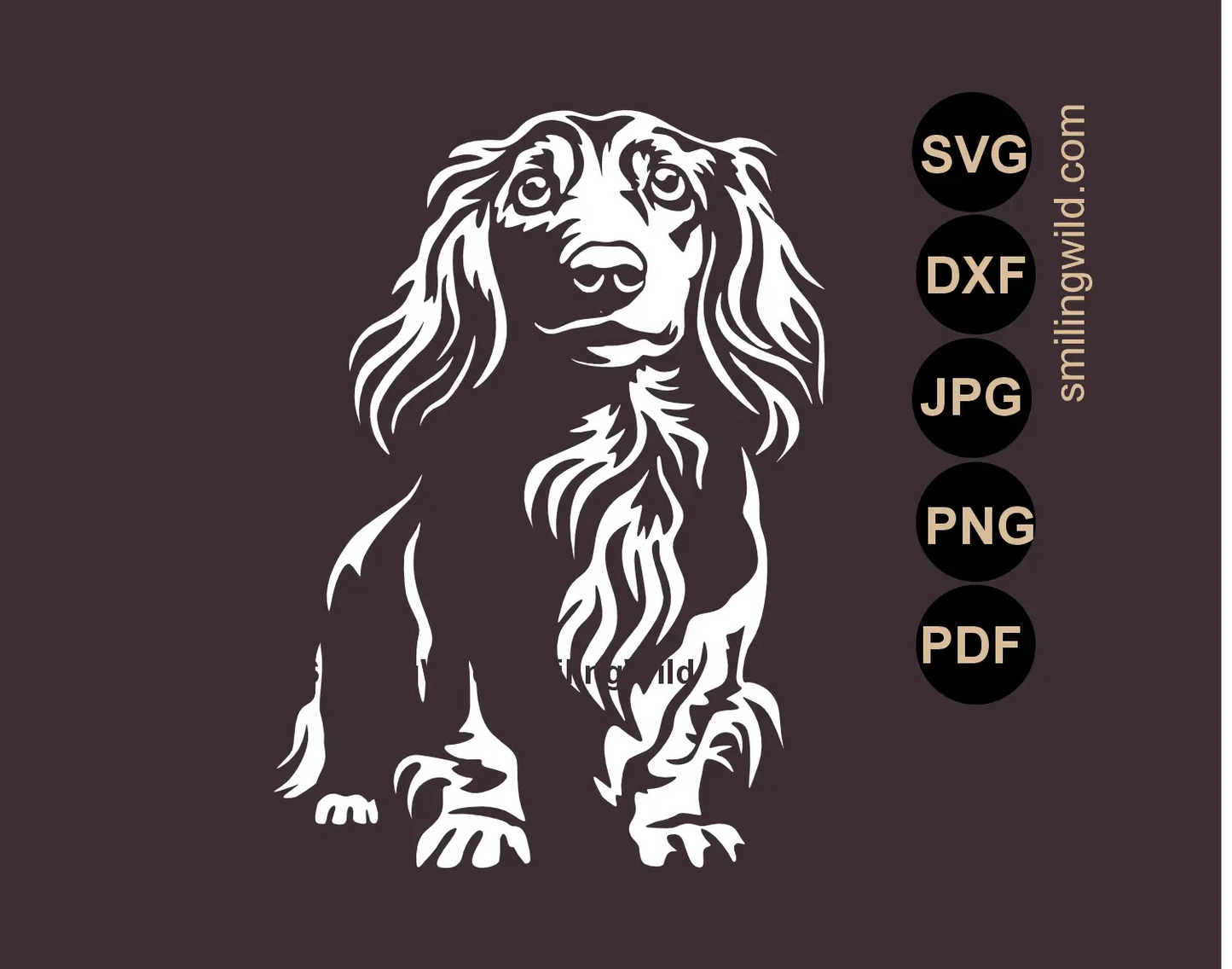 White long haired Dachshund SVG realistic dog vector art for dark surfaces focusing on a detailed full body standing hunting dog