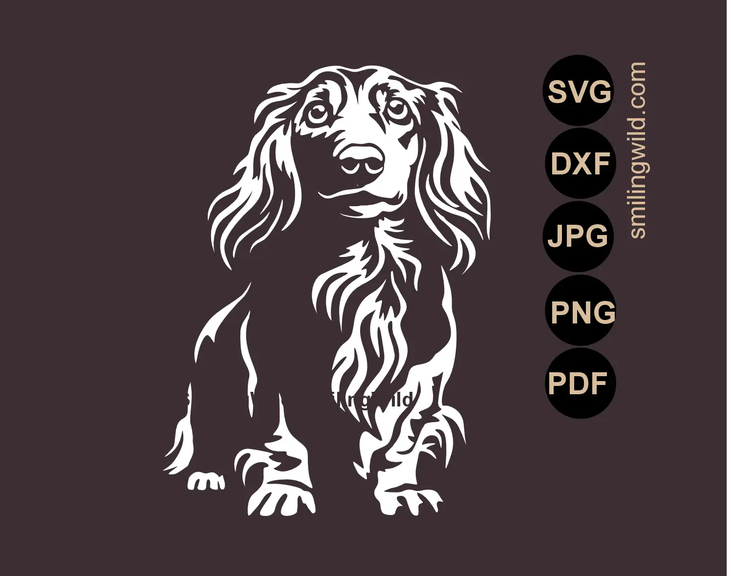 White long haired Dachshund SVG realistic dog vector art for dark surfaces focusing on a detailed full body standing hunting dog
