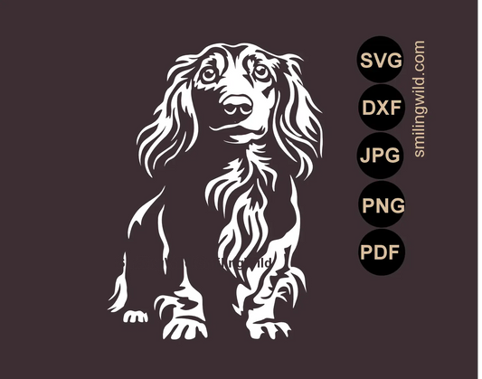 White long haired Dachshund SVG realistic dog vector art for dark surfaces focusing on a detailed full body standing hunting dog