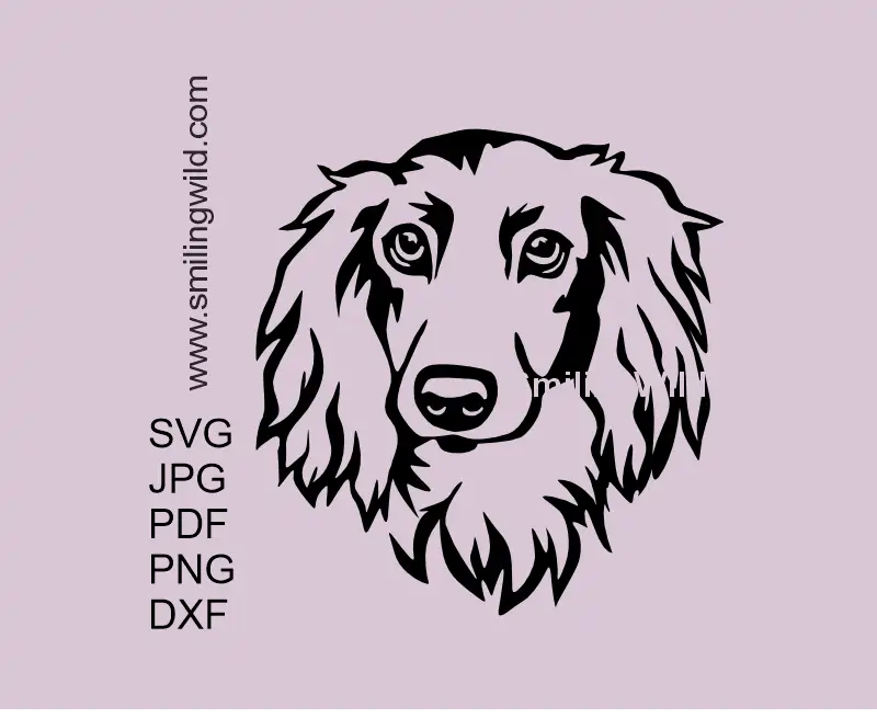 Vector art illustration of a long haired Dachshund head portrait - Wiener Dog breed for clipart use on for cutting