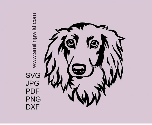 Vector art illustration of a long haired Dachshund head portrait - Wiener Dog breed for clipart use on for cutting