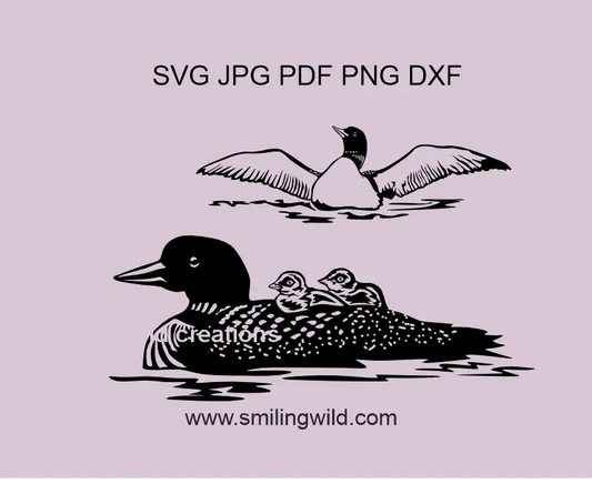 Black Loon Mom and Baby and a frontal loon image in SVG, PNG & DXF vector clipart for Cricut, laser cutting, and crafting projects