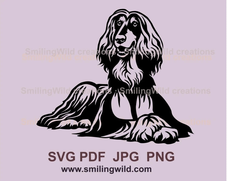 Lying and smiling Afghan hound in black vector art