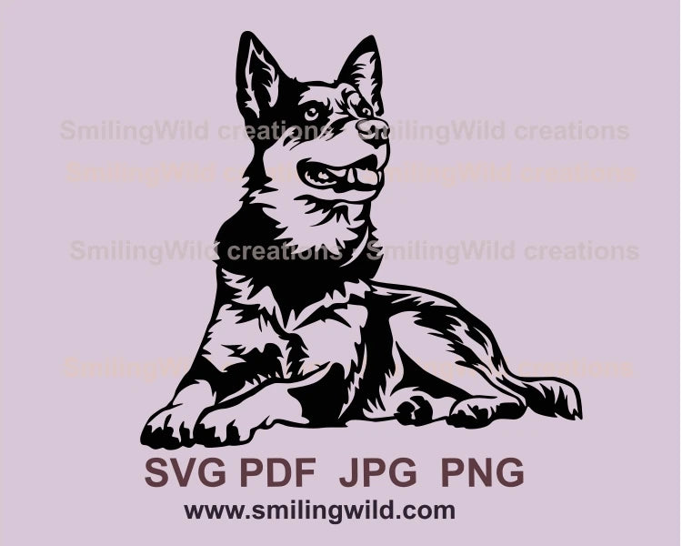 lying and smiling australian cattle dog in black graphic art