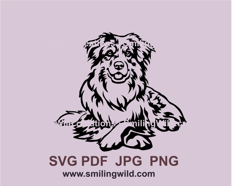 lying australian shepherd graphic design image with transparent background