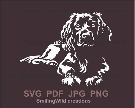 lying and peeking Boykin spaniel white line art