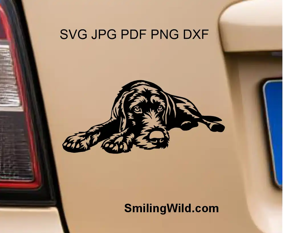 German wirehaired pointer svg, png vector clipart for Cricut presented as a car decal