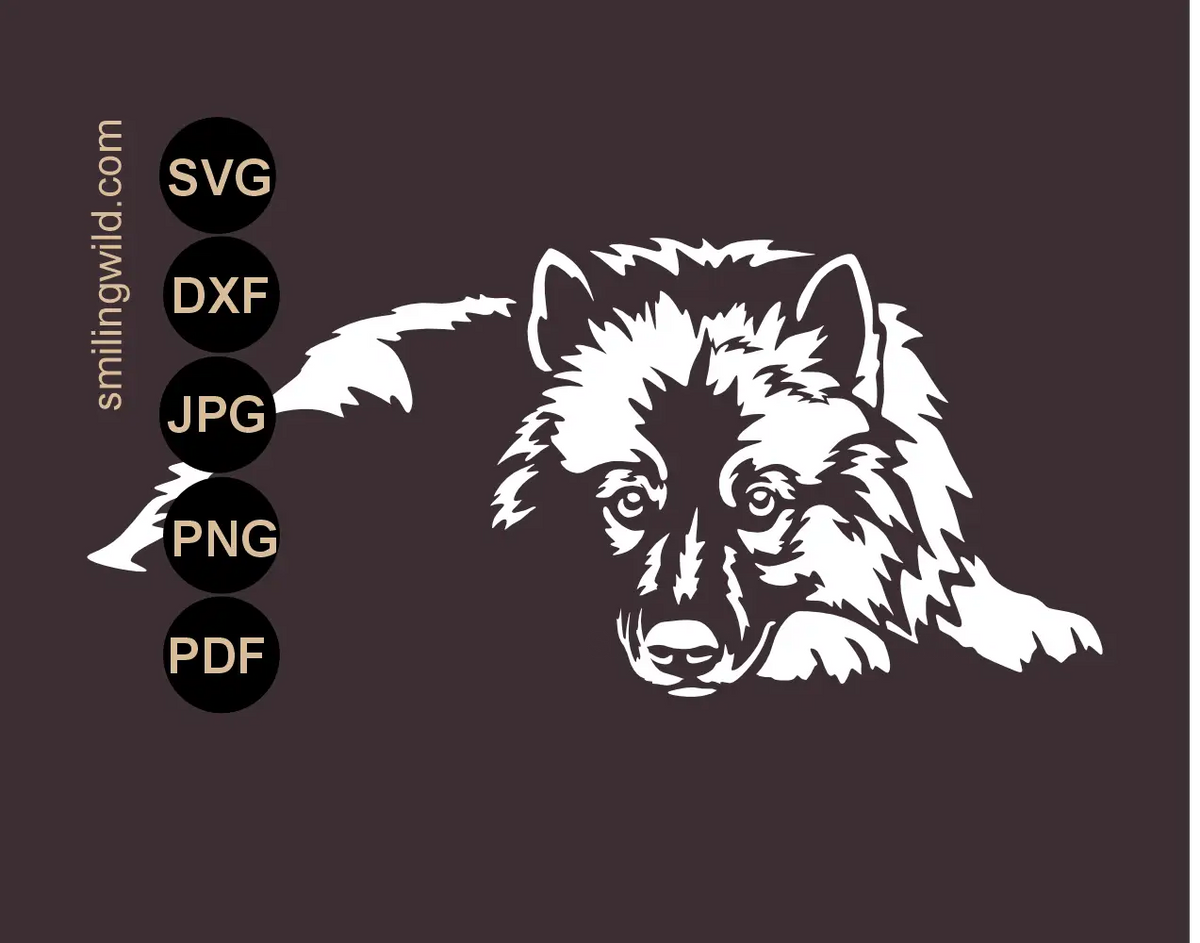 Lying Keeshond Wolfspitz dog white vector cut file in SVG png and dxf format displayed on a dark contrast background