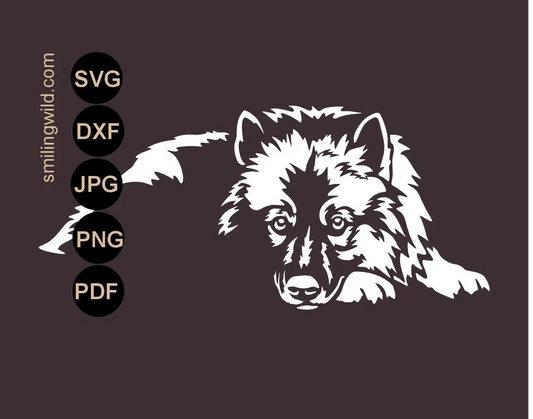 Lying Keeshond Wolfspitz dog white vector cut file in SVG png and dxf format displayed on a dark contrast background