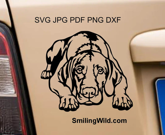 Lying Vizsla SVG and PNG vector art with integrated bridges for laser engraving and wood decor.