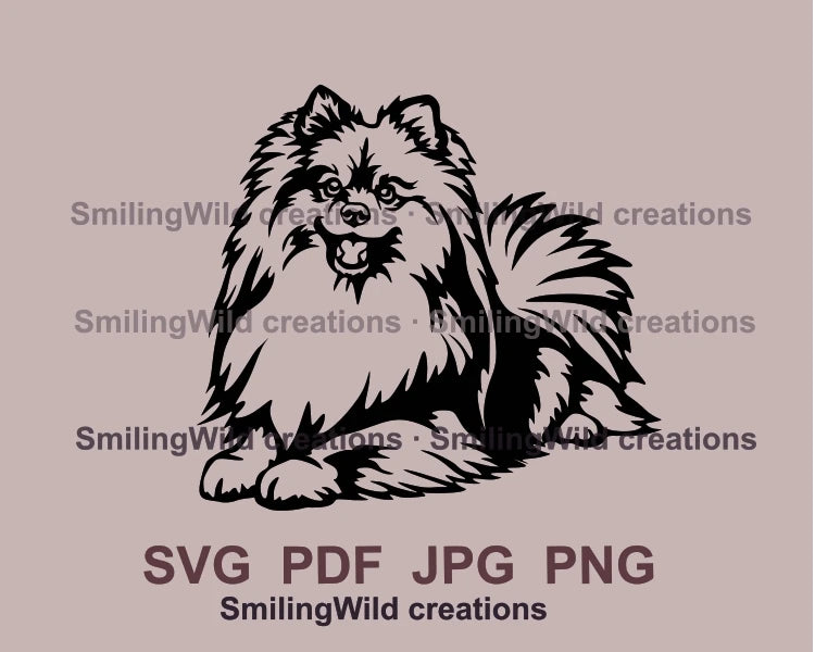 German spitz svg vector portrait – Smiling Wild svg clip art