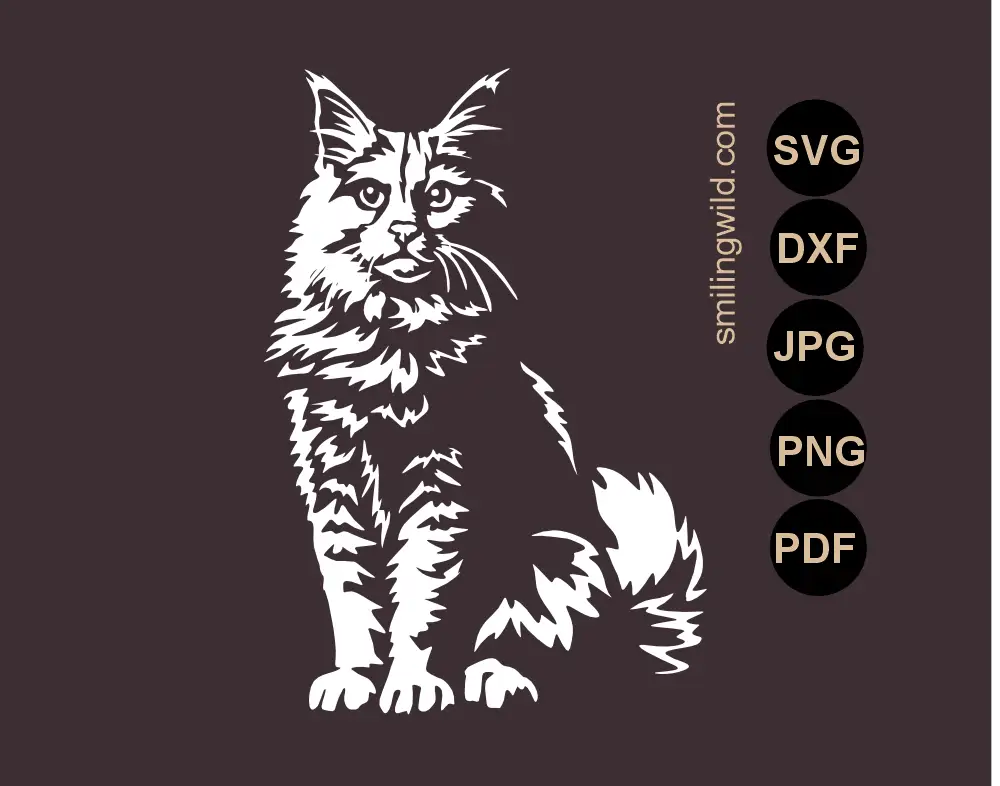 Full body maine coon cat SVG, PNG and DXF vector cut file is visualized as a sitting cat white graphic illustration in chiaroscuro style with dramatic shadows