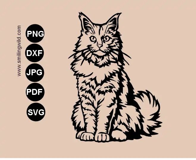 A sitting Maine coon cat SVG vector file presenting a sitting cat frontl clipart image