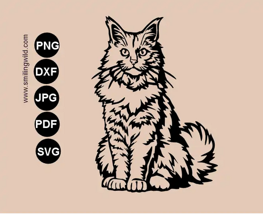 A sitting Maine coon cat SVG vector file presenting a sitting cat frontl clipart image