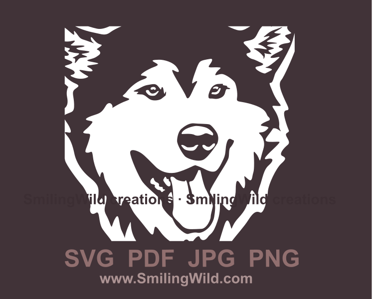 malamute smiling face close up clip art design