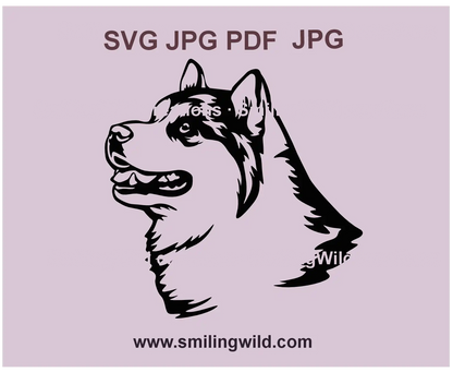 Malamute SVG graphic featuring a realistic black dog portrait, perfect for Cricut and laser cutting projects.