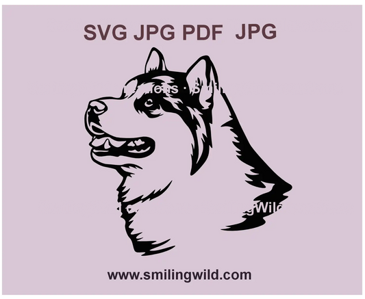 Malamute SVG graphic featuring a realistic black dog portrait, perfect for Cricut and laser cutting projects.