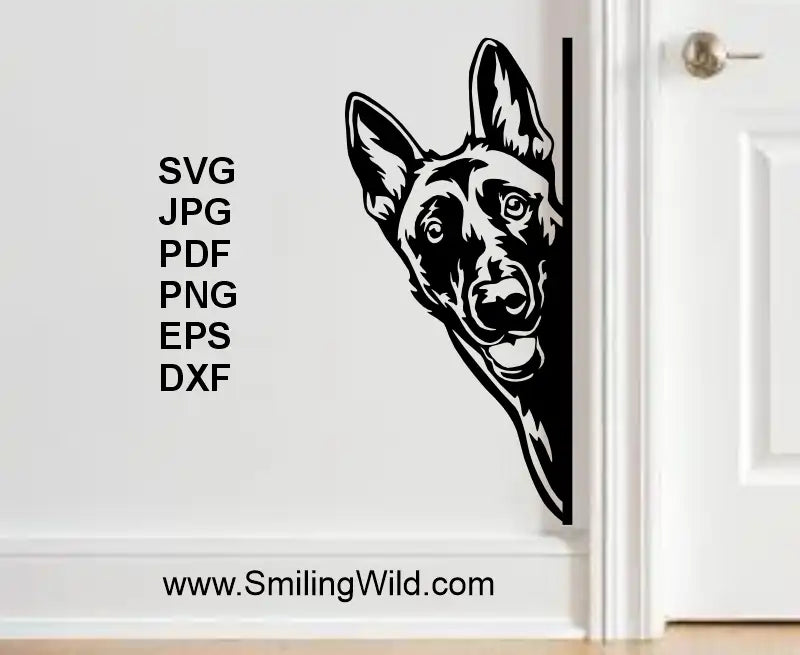a mocup preview image with Belgian shepherd malinois decal on a white wall with made of svg pnf clipart files