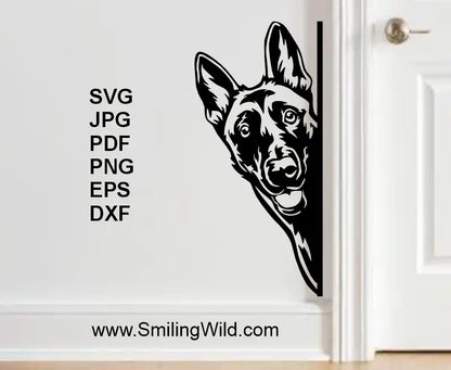 a mocup preview image with Belgian shepherd malinois decal on a white wall with made of svg pnf clipart files