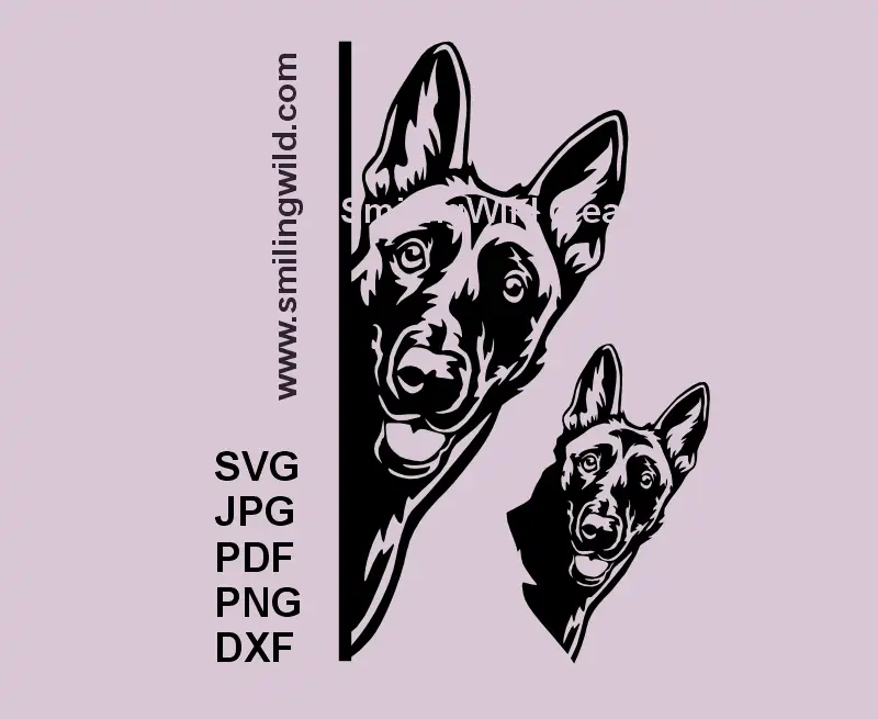 Malinois Dog SVG, PNG, DXF black clipart 2 variations, Belgian Shepherd head looking around corner and a separate head preview for Cricut, laser cutting, working dog rustic crafts