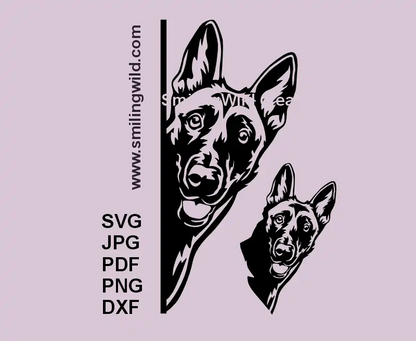 Malinois Dog SVG, PNG, DXF black clipart 2 variations, Belgian Shepherd head looking around corner and a separate head preview for Cricut, laser cutting, working dog rustic crafts