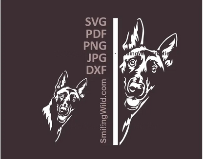 Malinois Dog SVG, PNG, DXF white vector clipart, Belgian Shepherd corner peeking head vector preview for Cricut, laser cutting, cute dog graphic crafts