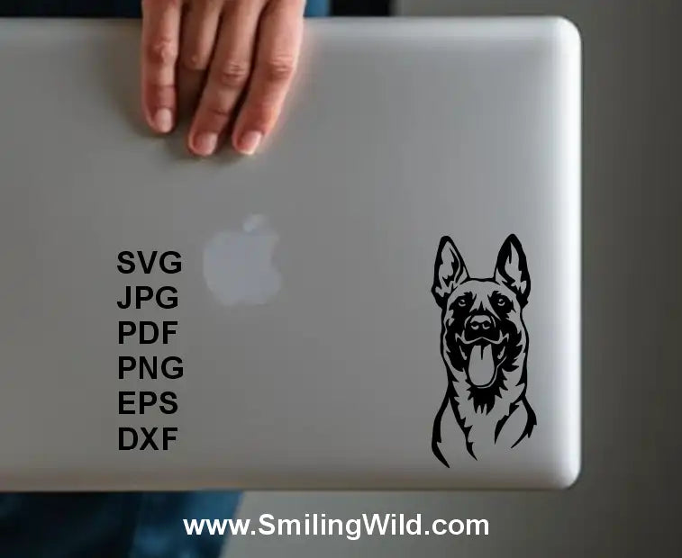 A sample image of  Malinois clipart displayed a laptop sticker for pet logos, Cricut crafts, and personalized engraving projects