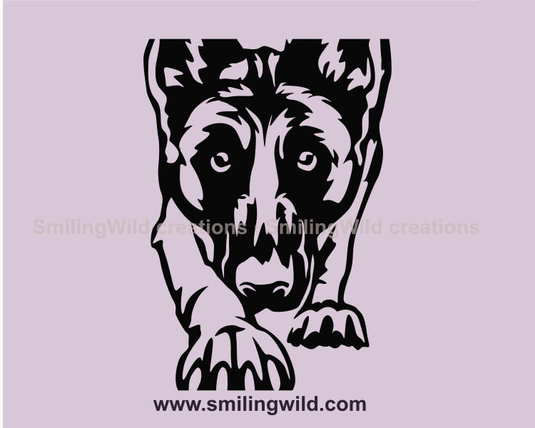 malinois face drawing in vector grpahic style