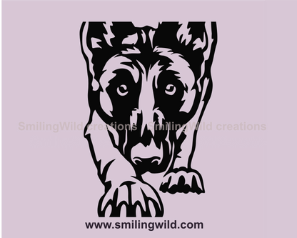 malinois face drawing in vector grpahic style