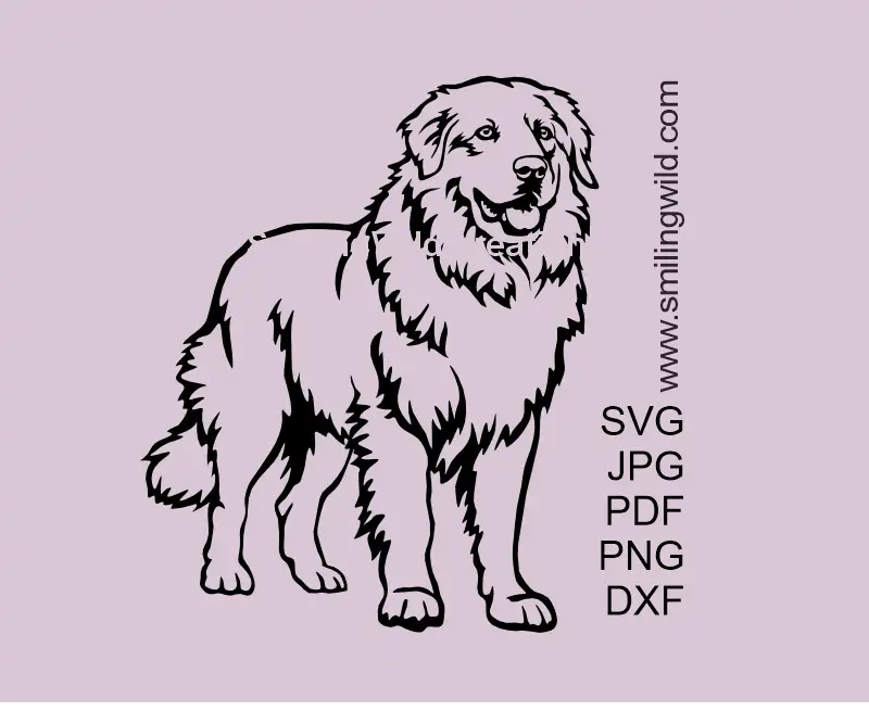 Maremma Sheepdog SVG Clipart - Dog Full Body Vector File. Maremmano-Abruzzese vector graphic optimized for Cricut decals.