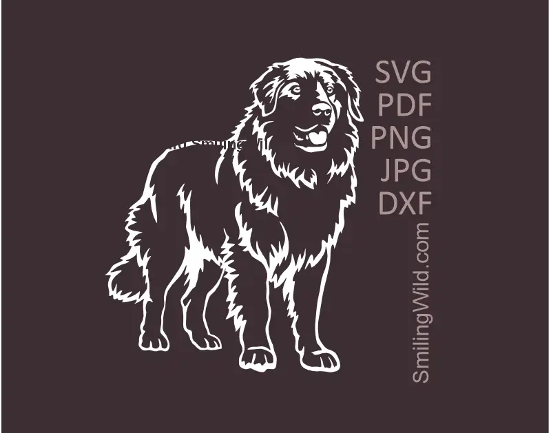 Maremma Sheepdog image in White Vector Clipart files - SCG, PNG, DXF, JPG and PDF. Full body digital graphic for high-contrast Cricut decals on dark materials.