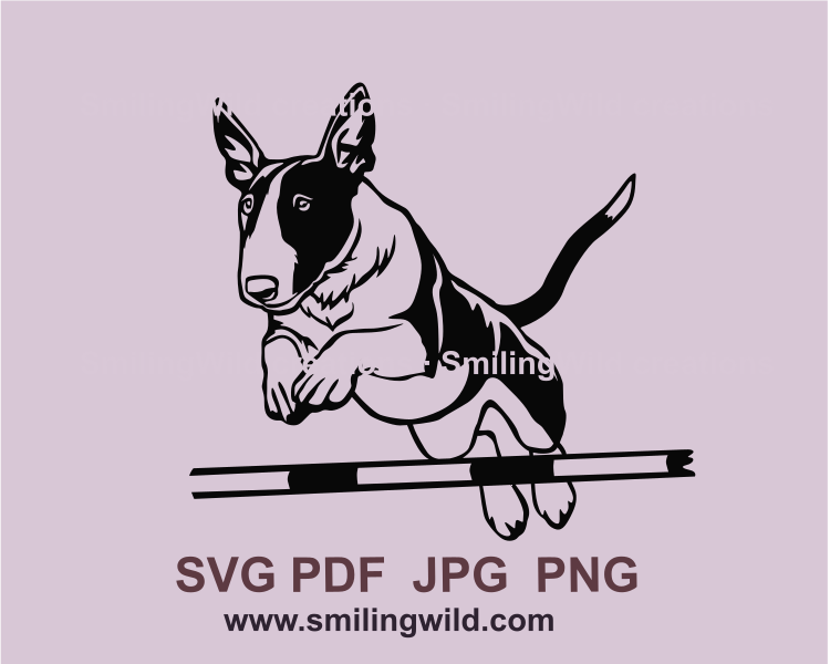 miniature bull terrier agility jump graphic style image