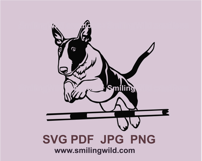 miniature bull terrier agility jump graphic style image