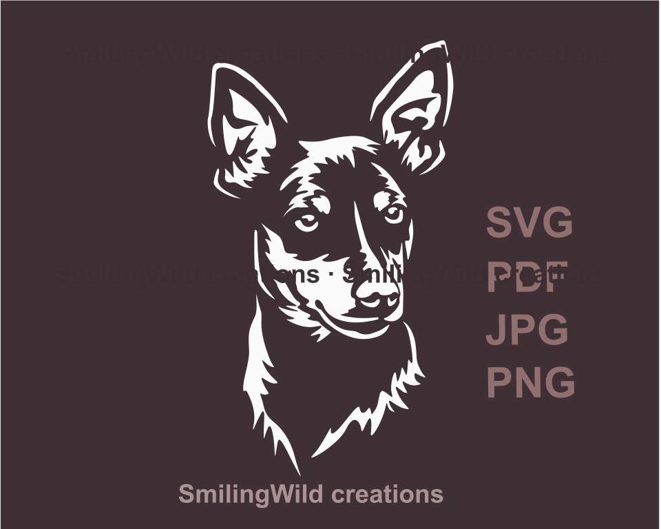 miniature pinscher graphic portrait in white color