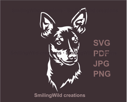 miniature pinscher graphic portrait in white color