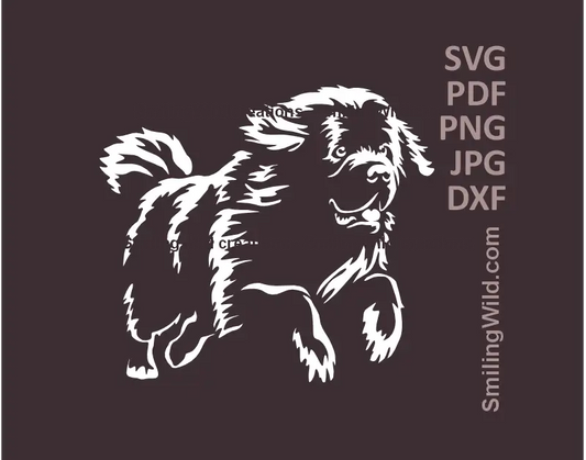 Newfoundland Dog SVG, DXF, PNG white clipart, running full body preview for Cricut, laser engraving, pastoral canine crafts