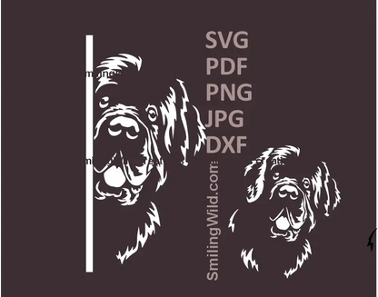 Black and white illustrations of Newfoundland dog looking around the corner and a separate head in svg png and dxf file clipart
