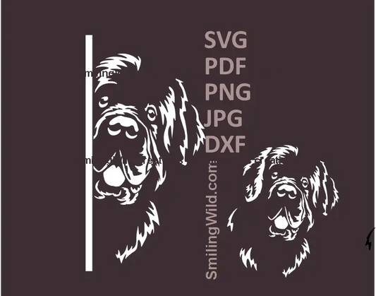 Black and white illustrations of Newfoundland dog looking around the corner and a separate head in svg png and dxf file clipart