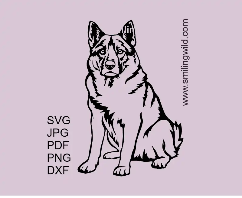 Norwegian Elkhound hunting dog vector clipart SVG PNG DXF showig a sitting full body Scandinavian breed's sample