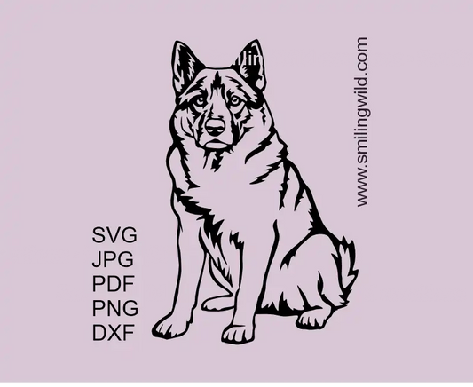 Norwegian Elkhound hunting dog vector clipart SVG PNG DXF showig a sitting full body Scandinavian breed's sample