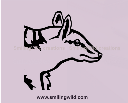 numbat face close up image in profile