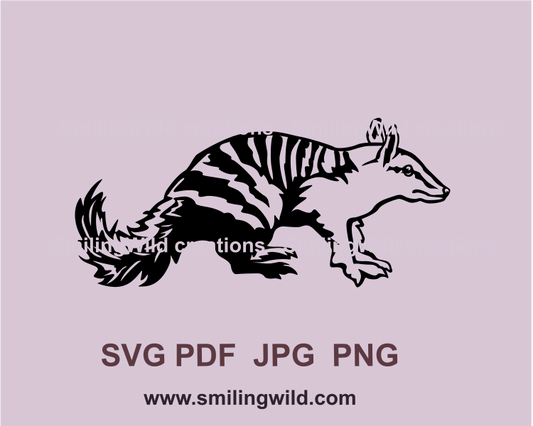numbat svg graphic image reflecting australian animal variety