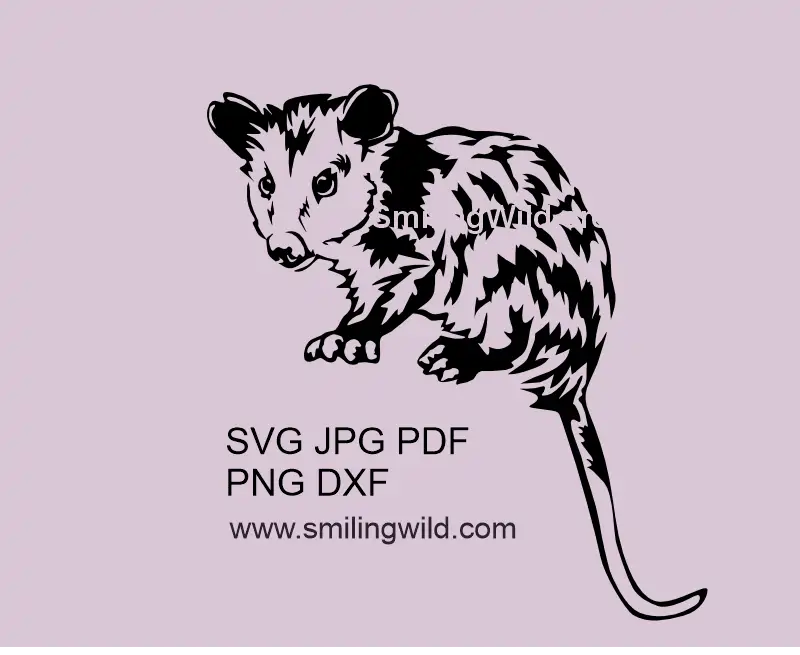 Opossum SVG PNG DXF - fulll body wild animal vector clipart digital design for Cricut crafts and laser cutting