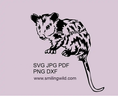 Opossum SVG PNG DXF - fulll body wild animal vector clipart digital design for Cricut crafts and laser cutting